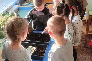 ������������� �������� ������ � ����� �� ������� ����� ���������� ������